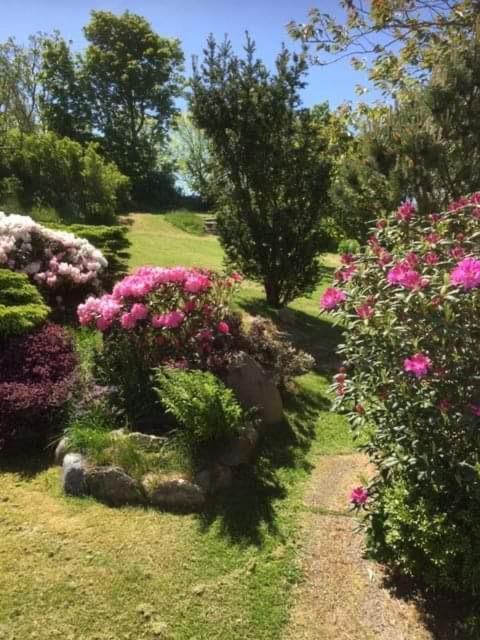 Bjergby Bed & Breakfast Bed and Breakfast Hjørring Esterno foto